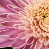 1-7 ズームツール・手のひらツール